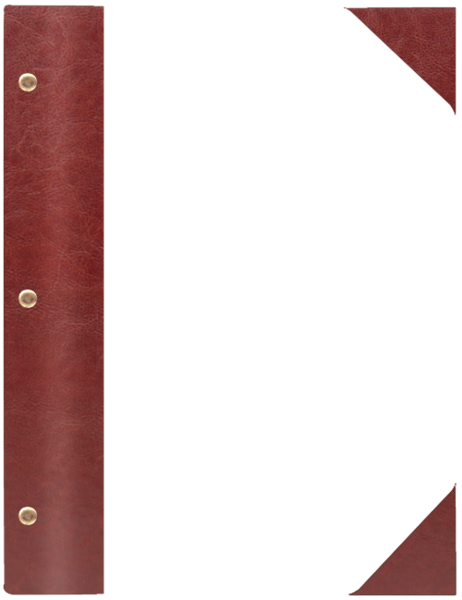 WOOD P bordo – brąz BB 8082