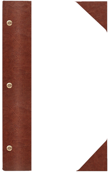 WOOD P ¾A4 brąz BR 8081