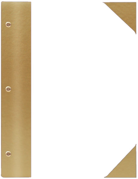 WOOD P złoty BZ 5872