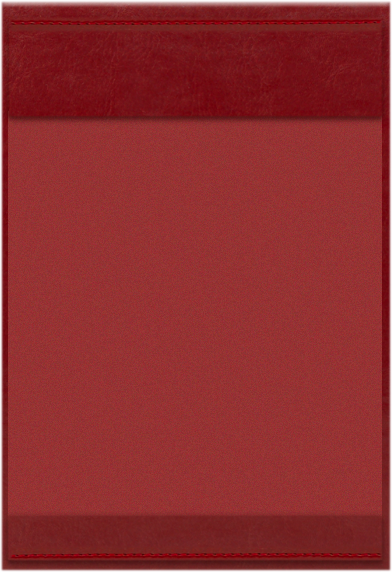VIP 15 bordo B 8906