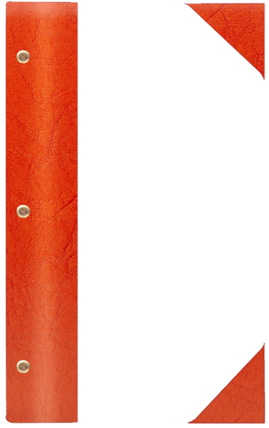 WOOD P ¾A4 jasny brąz JB 8085