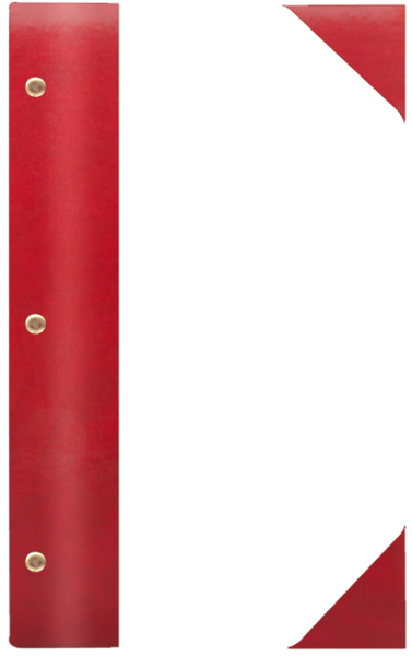 WOOD P ¾A4 bordo B 0310
