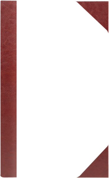 FOREST K  ¾A4 bordo – brąz BB 8082