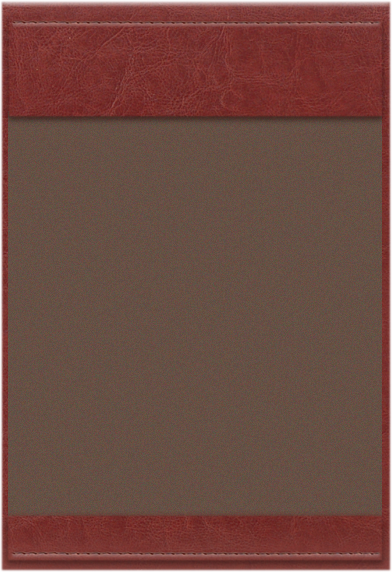VIP 15 bordo – brąz BB 8082