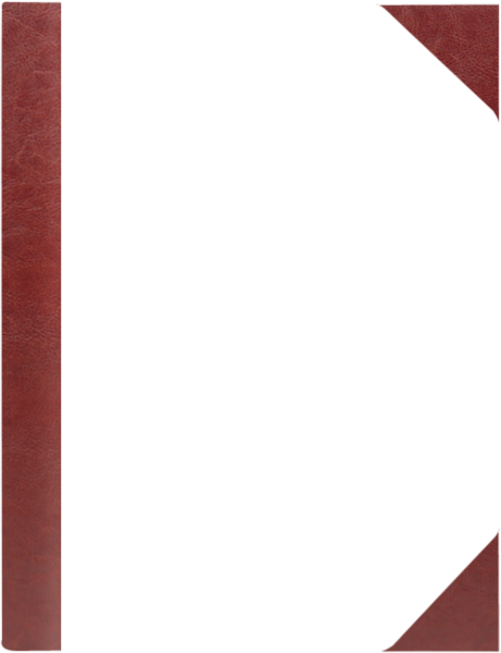 FOREST P bordo – brąz BB 8082