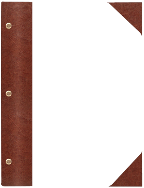 WOOD P brąz BR 8081