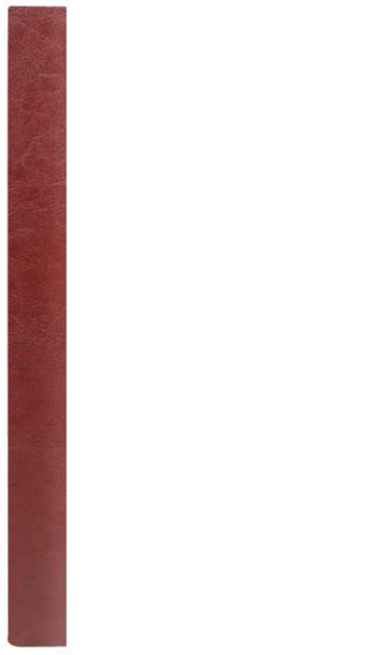 PŁATNIK KSIĄŻECZKA D bordo – brąz BB 8082
