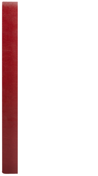 PŁATNIK KSIĄŻECZKA D bordo B 8906