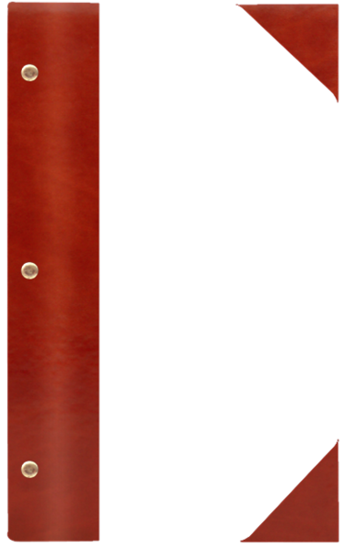 WOOD P ¾A4 jasny brąz JB 2691
