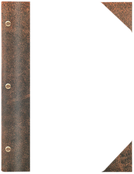 WOOD P jasny brąz