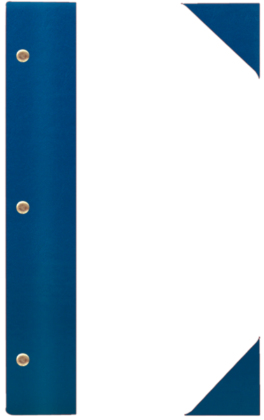 WOOD P ¾A4 niebieski N 0485