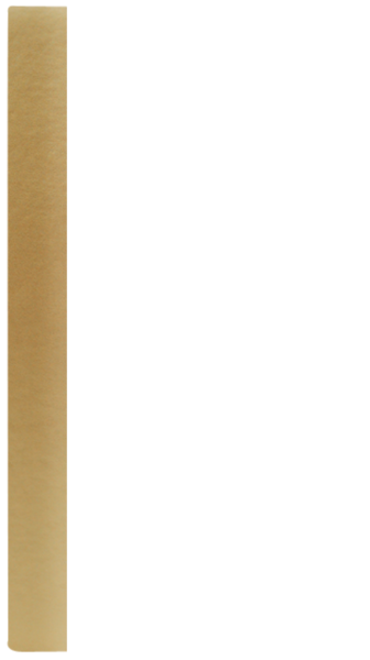 PŁATNIK KSIĄŻECZKA D złoty BZ 5872