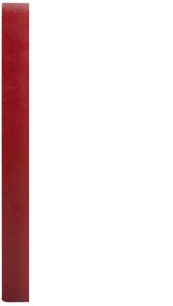 PŁATNIK SZKATUŁKA D bordo B 8906