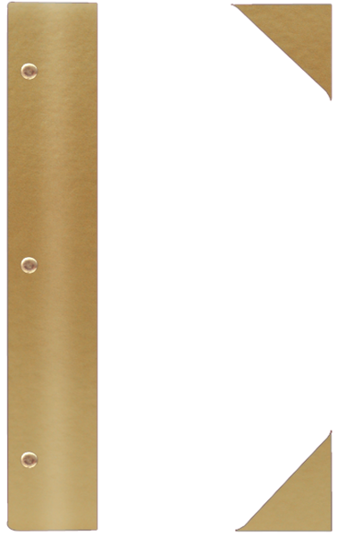 WOOD P ¾A4 złoty BZ 5872