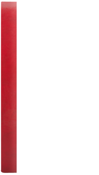 PŁATNIK SZKATUŁKA D bordo B 0310