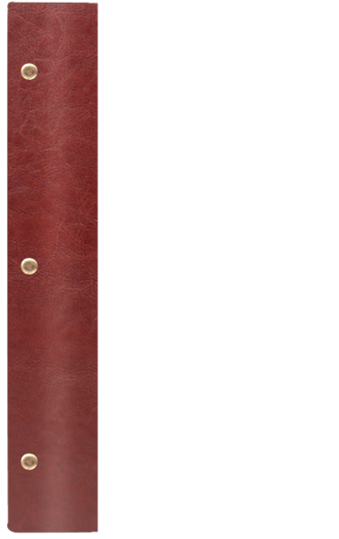WOOD K ¾A4 bordo – brąz BB 8082