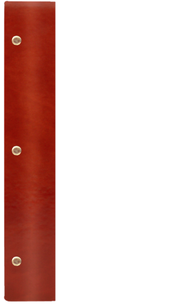 WOOD P ¾A4 jasny brąz JB 2691