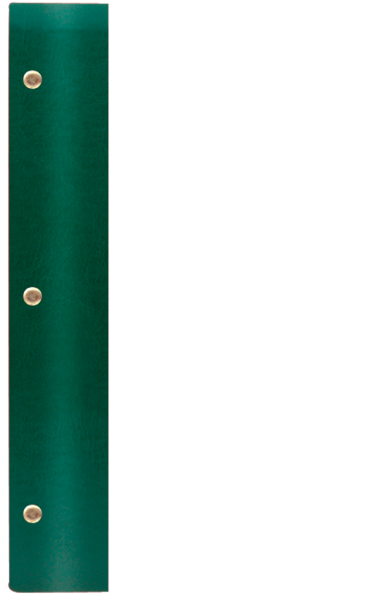WOOD P ¾A4 zielony Z 8106