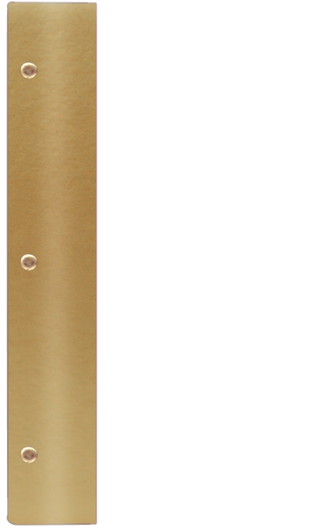 WOOD K ¾A4 złoty BZ 5872