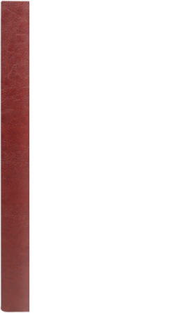 FOREST K  ¾A4 bordo – brąz BB 8082