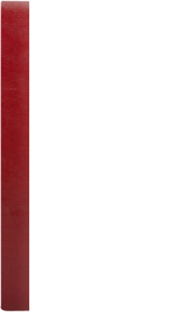 FOREST K  ¾A4 bordo B 8906