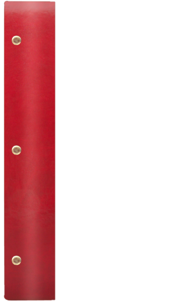 WOOD P ¾A4 bordo B 0310