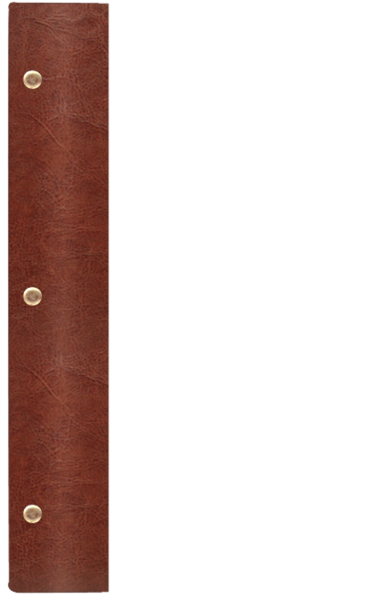 WOOD P ¾A4 brąz BR 8081
