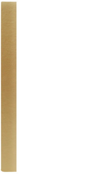 PŁATNIK SZKATUŁKA D złoty BZ 5872