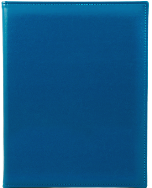 PRESTIGE P niebieski N 0485