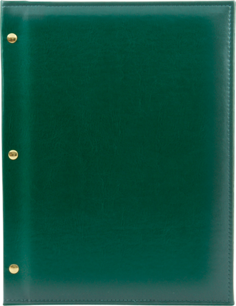 PARTNER P zielony Z 8106