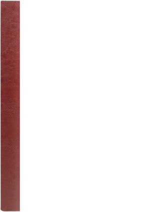 FOREST P bordo – brąz BB 8082