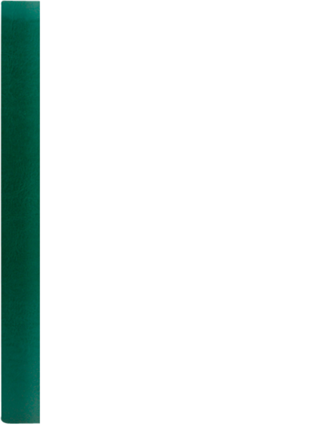 FOREST P zielony Z 8106