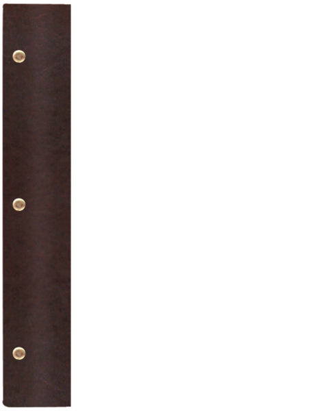 WOOD P brąz venge BR 0736