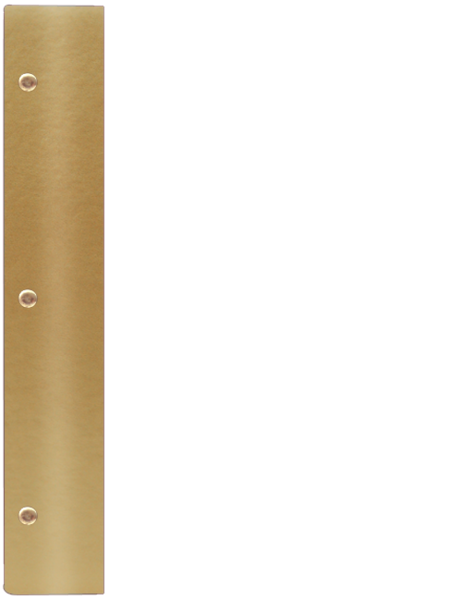 WOOD K złoty BZ 5872