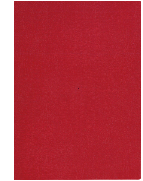 czerwony CZ 0022