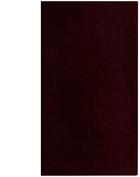 BR0736