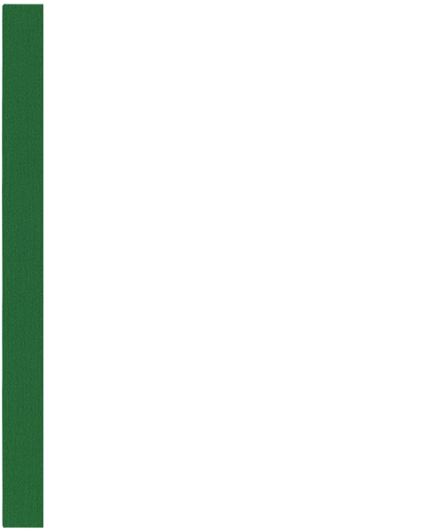 Zielony 512