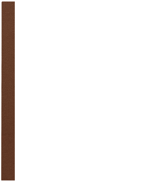 Brąz 522