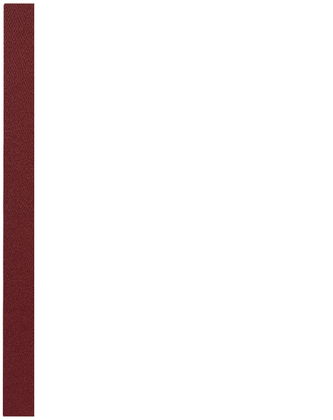 Bordo 521