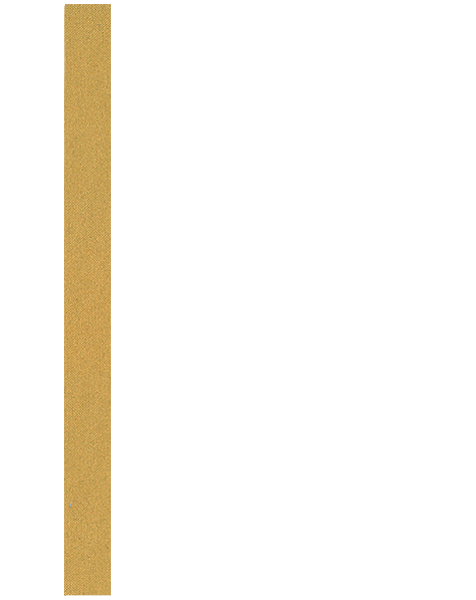 Złoty 308