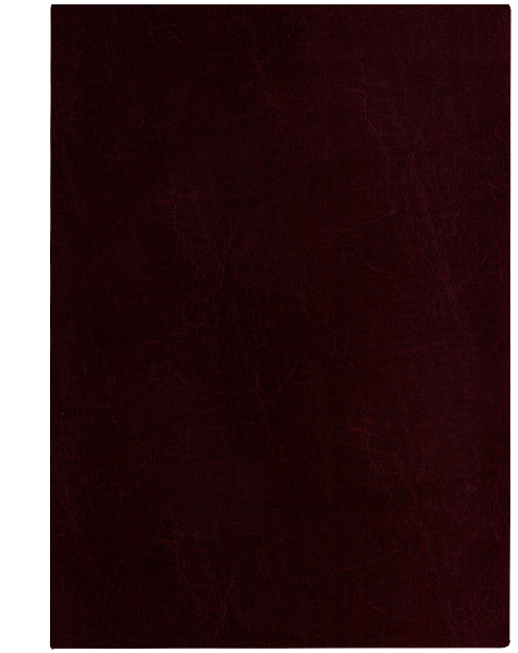 brąz venge BR0736
