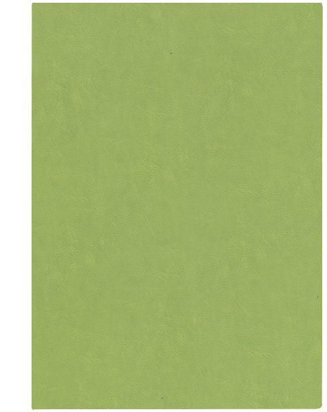 oliwkowy O5870