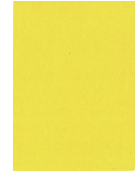 żółty C0571
