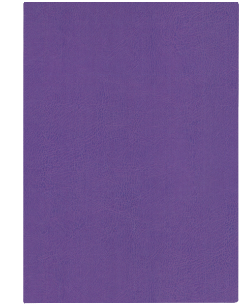 fiolet F0328