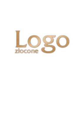 PŁATNIK SZKATUŁKA logo złocone z przetłoczeniem