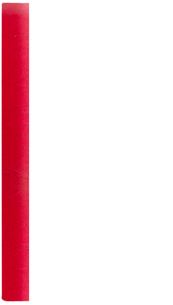 PŁATNIK SZKATUŁKA D bordo BE 8011