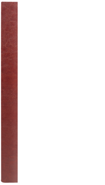 PŁATNIK SZKATUŁKA D bordo – brąz BB 8082