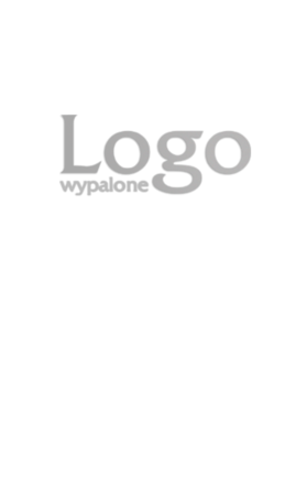 PŁATNIK SZKATUŁKA D logo wypalane laserowo 