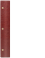 WOOD K bordo – brąz BB 8082