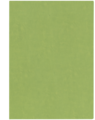 oliwkowy O5870